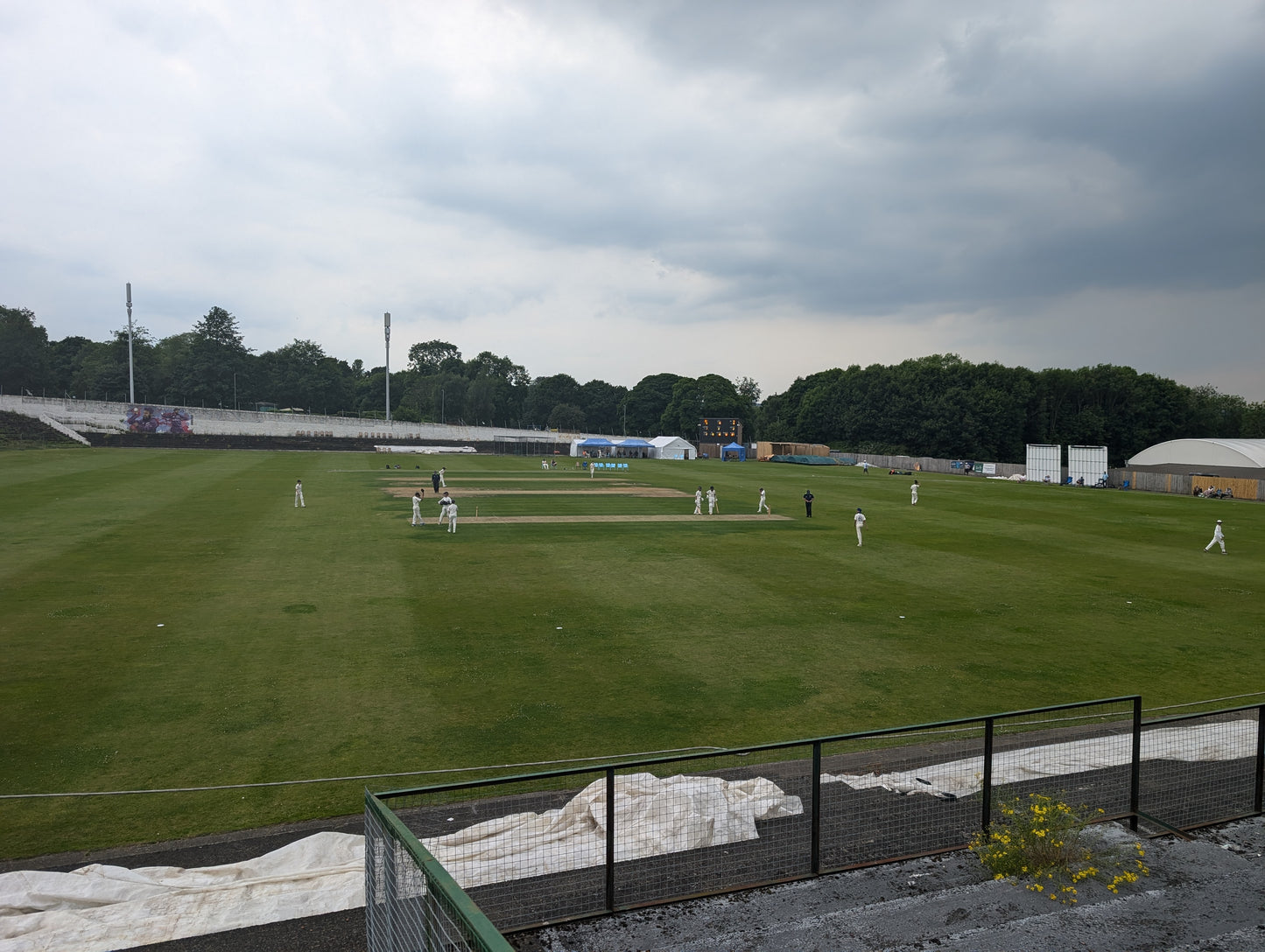 Autumn 24 Tuesday Nights Pickering - 7 weeks Hard ball coaching