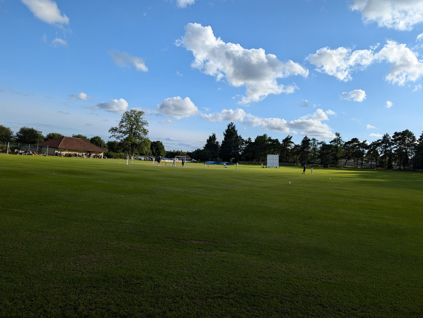 Autumn 25 - 7 weeks development Hard ball coaching Saturdays  3pm-4.30pm Malton